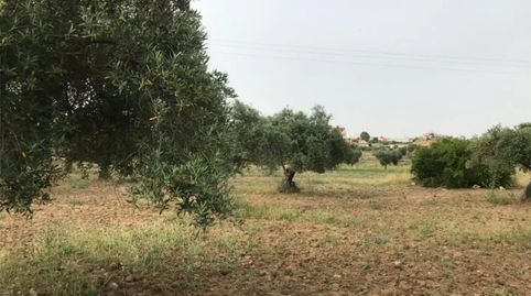 Foto 4 de Pis en venda a Camino de Zalamea, 127, Quintana de la Serena, Badajoz