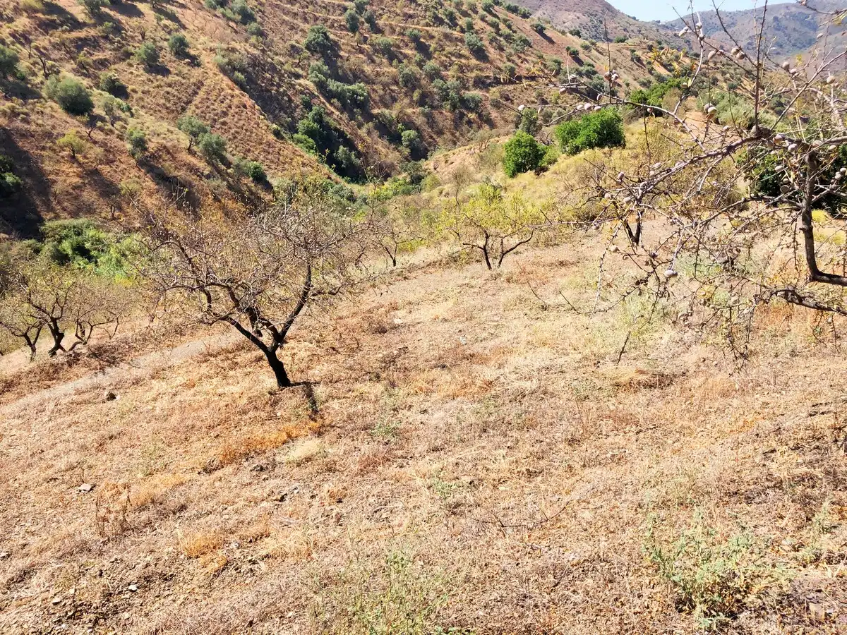 Terrenos y solares en venta en Sedella, imagen 2