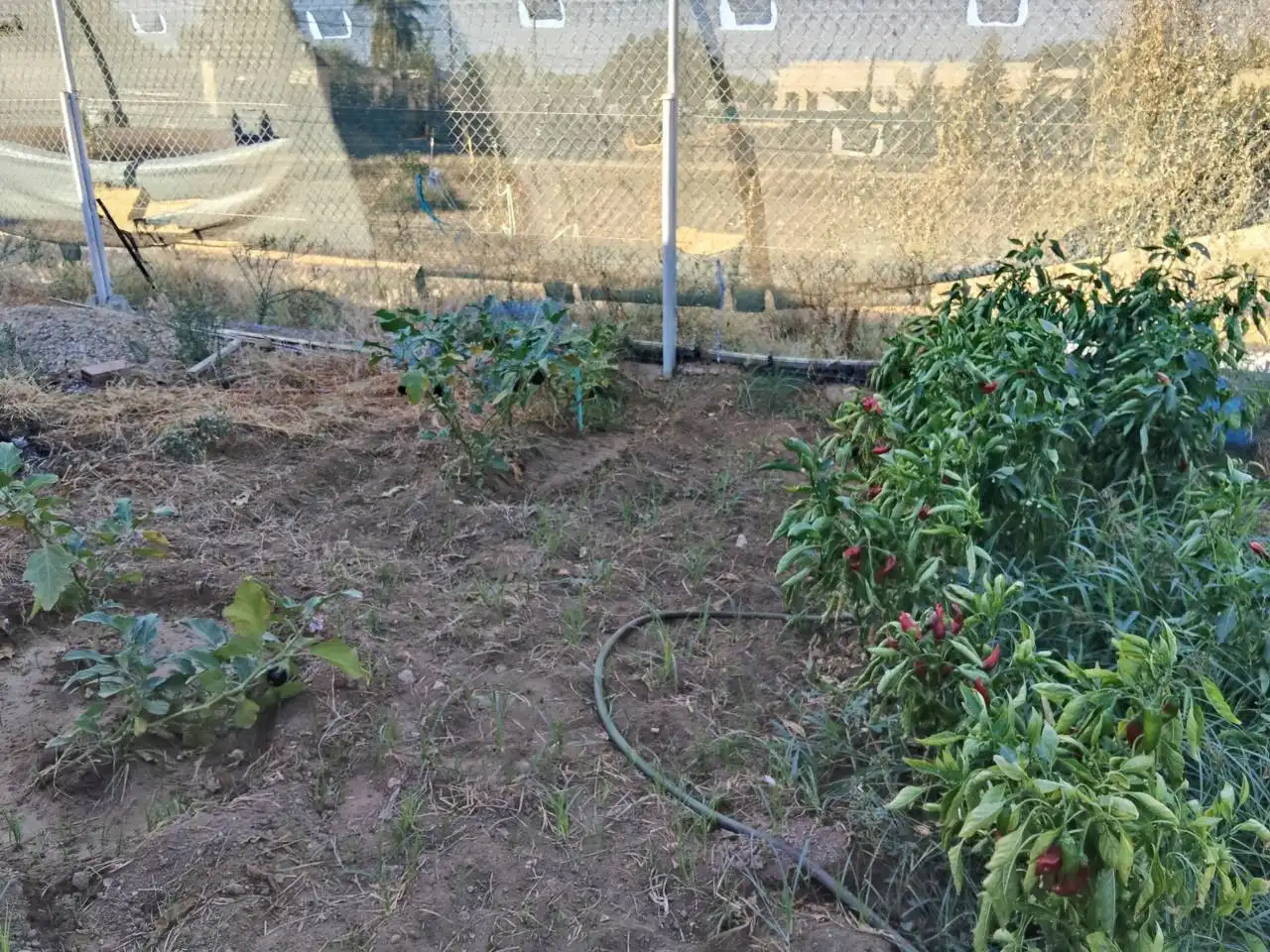 Villa avec piscine à vendre à Urbanizacion Pradollano, imagen 27