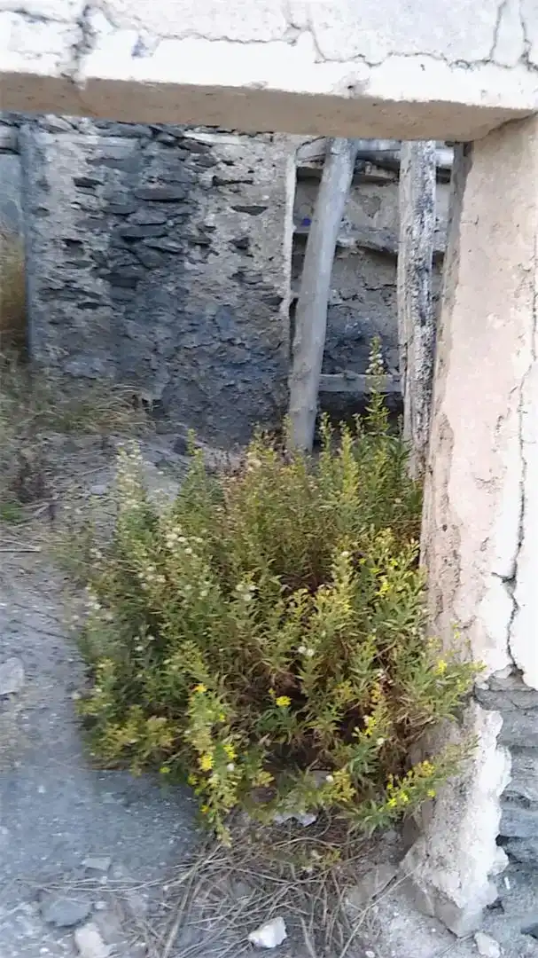 Land for sale in Alcóntar