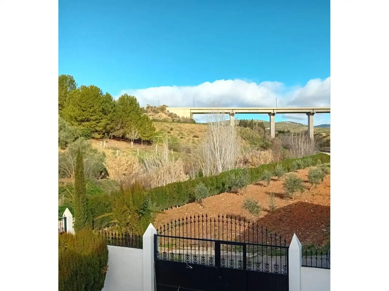 Vista exterior de Finca rústica en venda en Villanueva Mesía amb Jardí privat i Terrassa