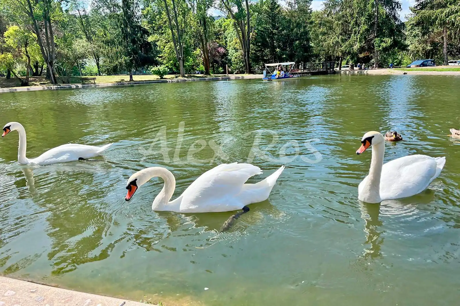 Terreno rústico en venta en AVENUE DU LAC