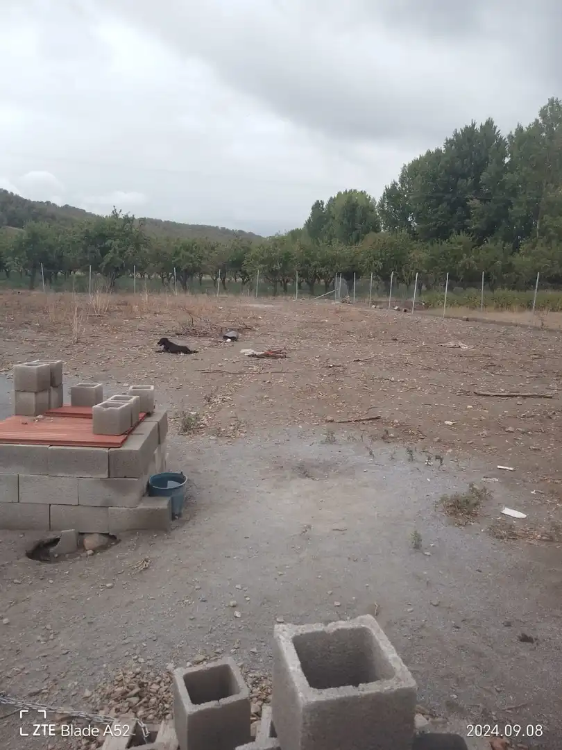 Terreni e lotti in vendita a Valle del Zalabí, imagen 4
