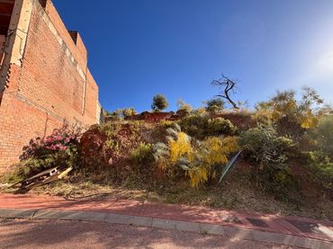 Terrenos y solares en venta en Calle Calle Mariano del Pino Márquez
