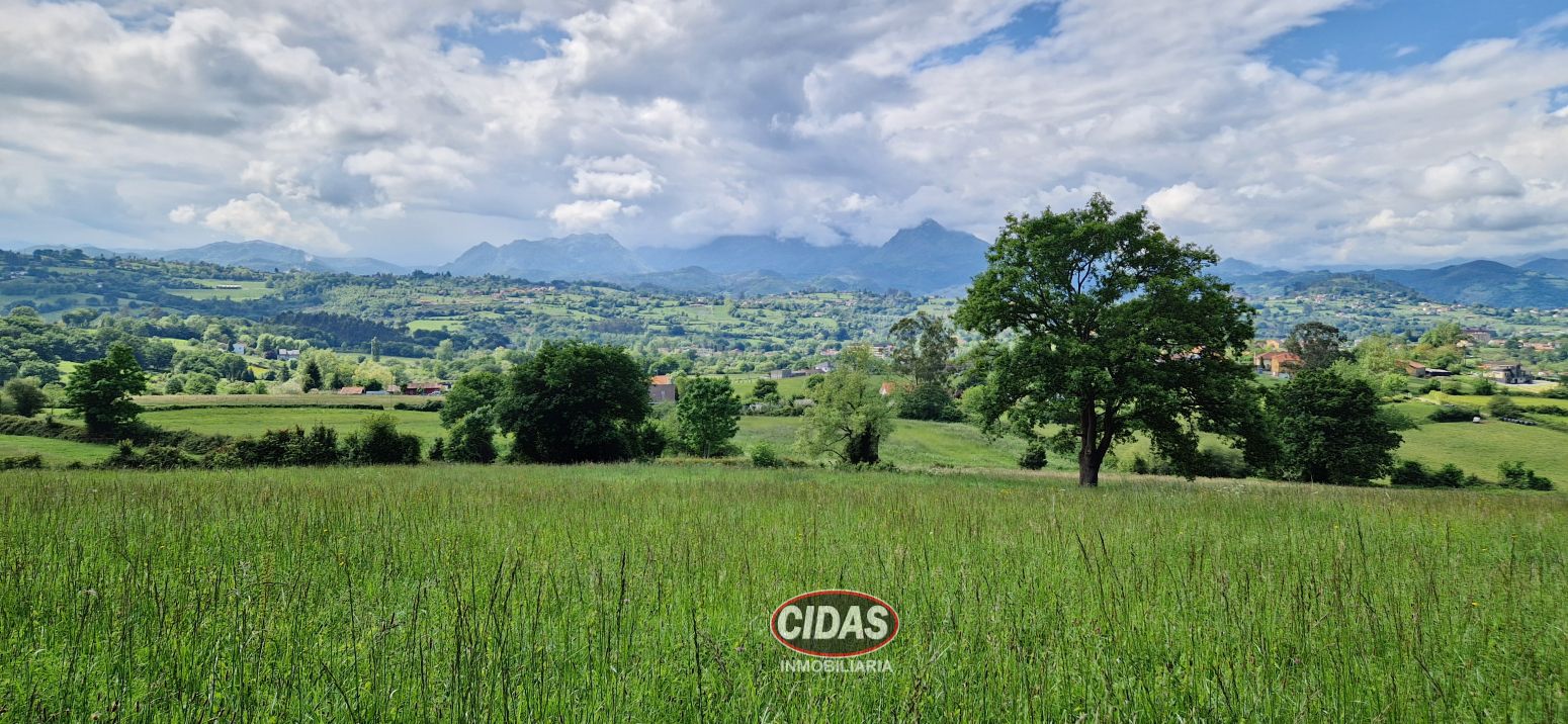 Residential for sale in Oviedo 