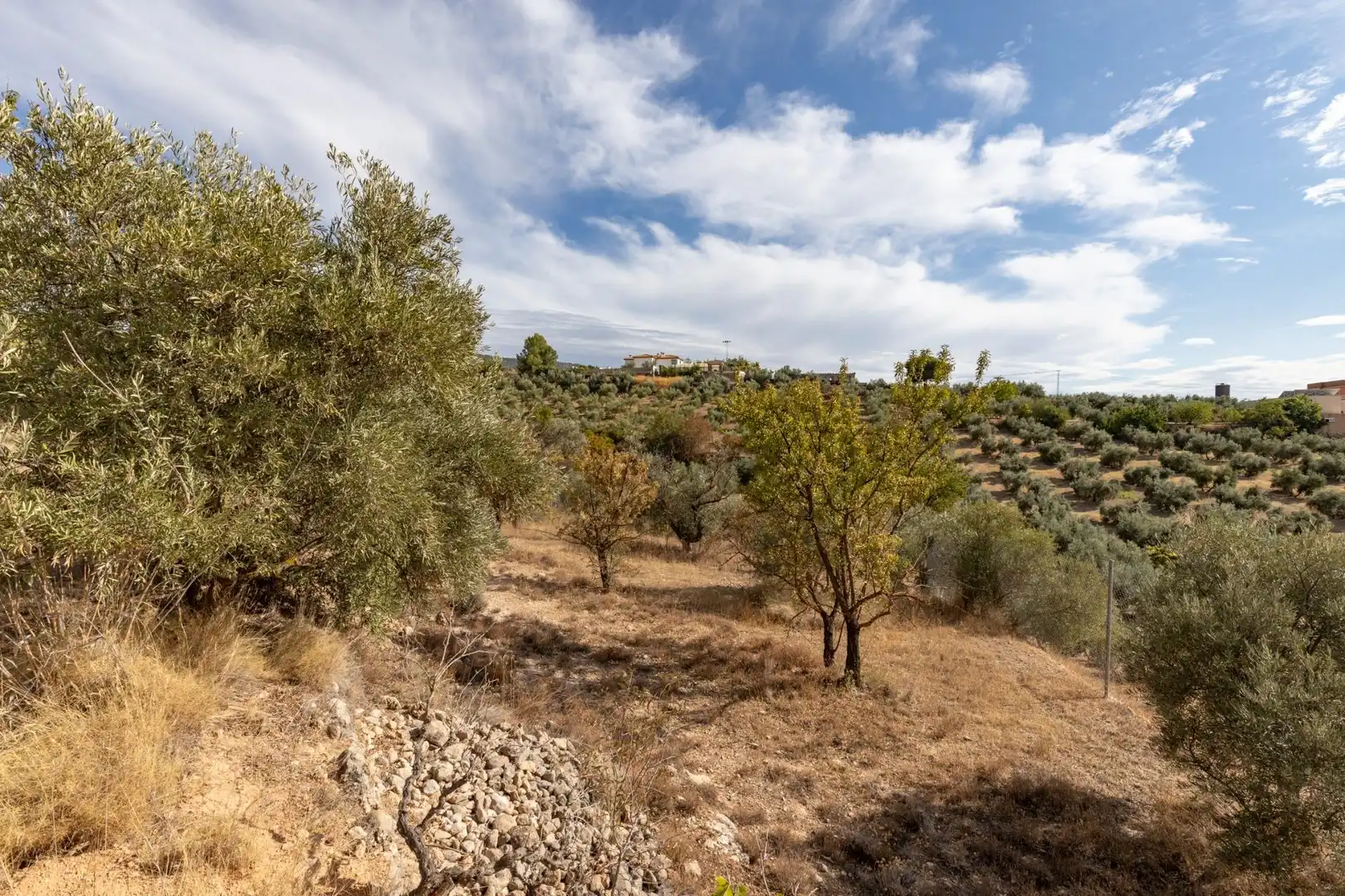 Finca rústica en venta en Cogollos de la Vega con Jardín privado y Piscina