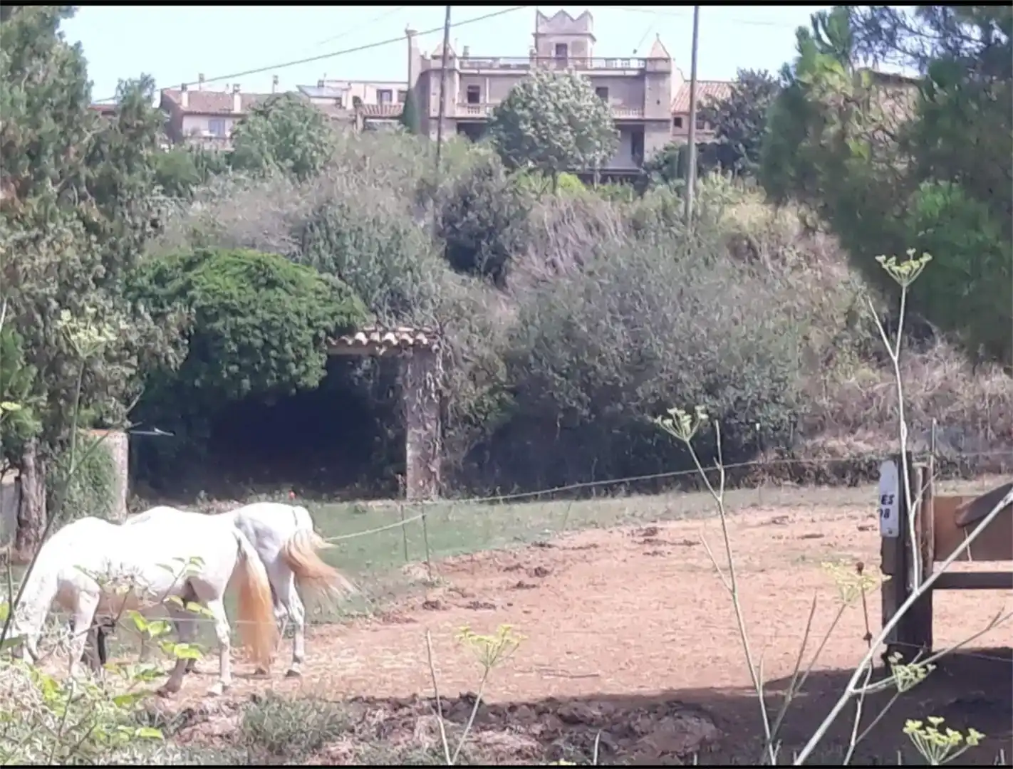 Finca rústica en venda en Madremanya