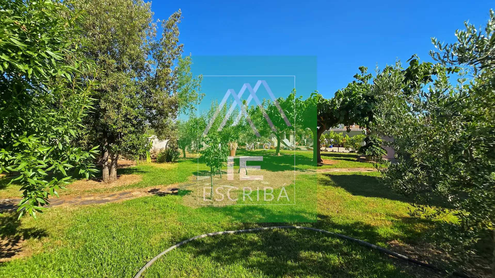 Jardín de Casa o chalet en venta en Catadau con Aire acondicionado, Calefacción y Jardín privado