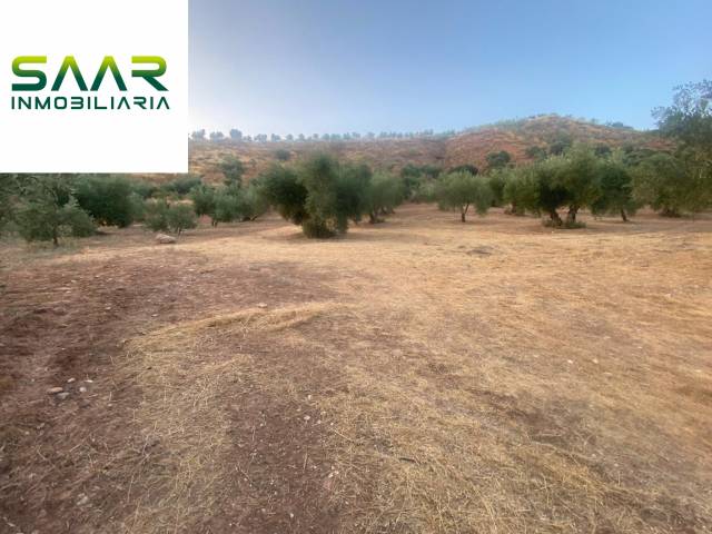 Terreno en Venta en Calicasas