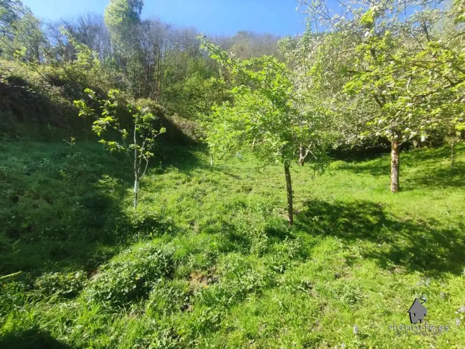 Terreno rustico in vendita a San Martín del Rey Aurelio, imagen 7