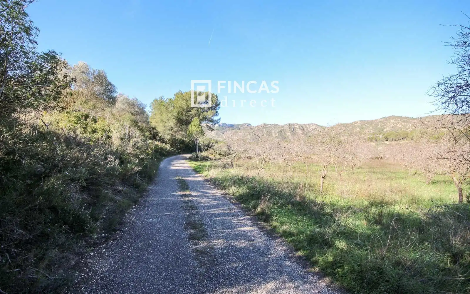Finca rústica en venta en Miravet