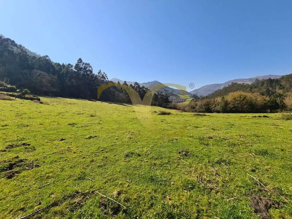 Casa o xalet en venda en Villayón amb Jardí privat
