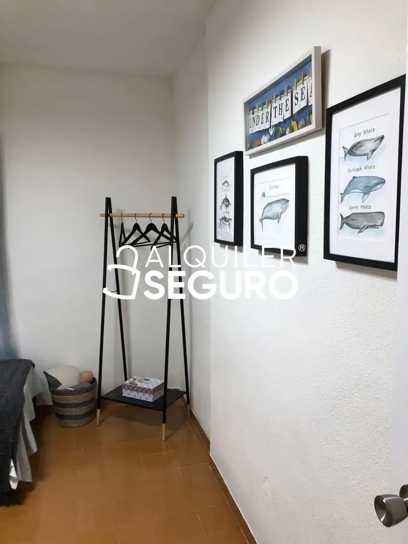 Piso con ascensor en alquiler en Bergantin, imagen 2