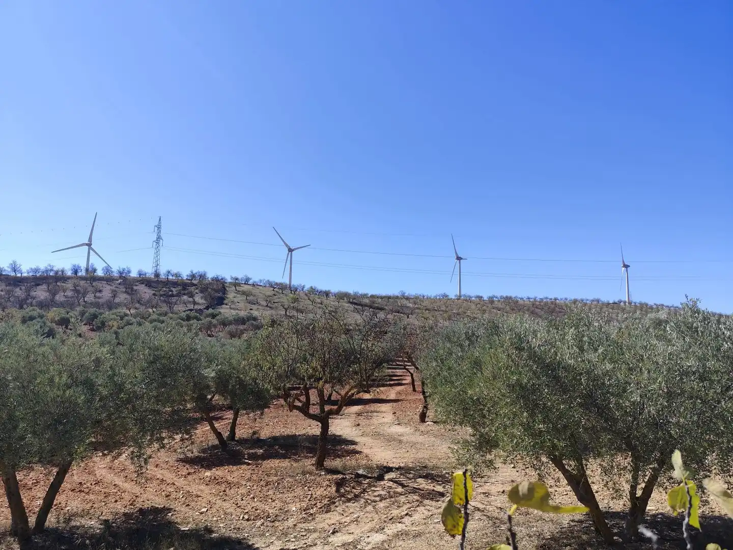 Landhaus zum Verkauf in LA VENTA DE  NIGUELAS S/N, imagen 3
