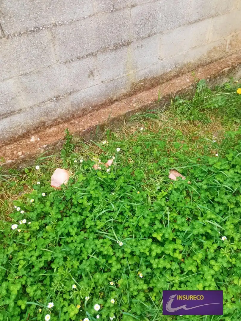 Maison avec jardin à vendre à Fuente-Cf, imagen 15