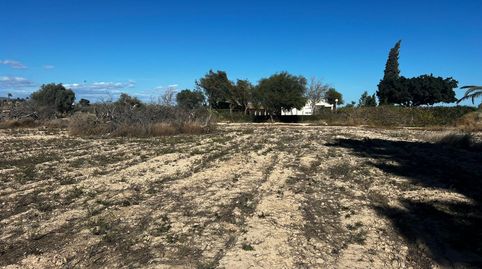 Foto 5 de Casa o xalet en venda a Perleta - Maitino, Elche / Elx