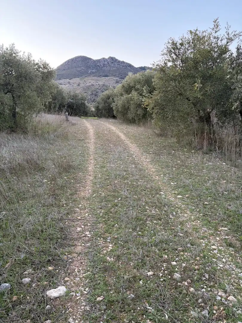 Terreny rústic en venda a Priego de Córdoba, imagen 3