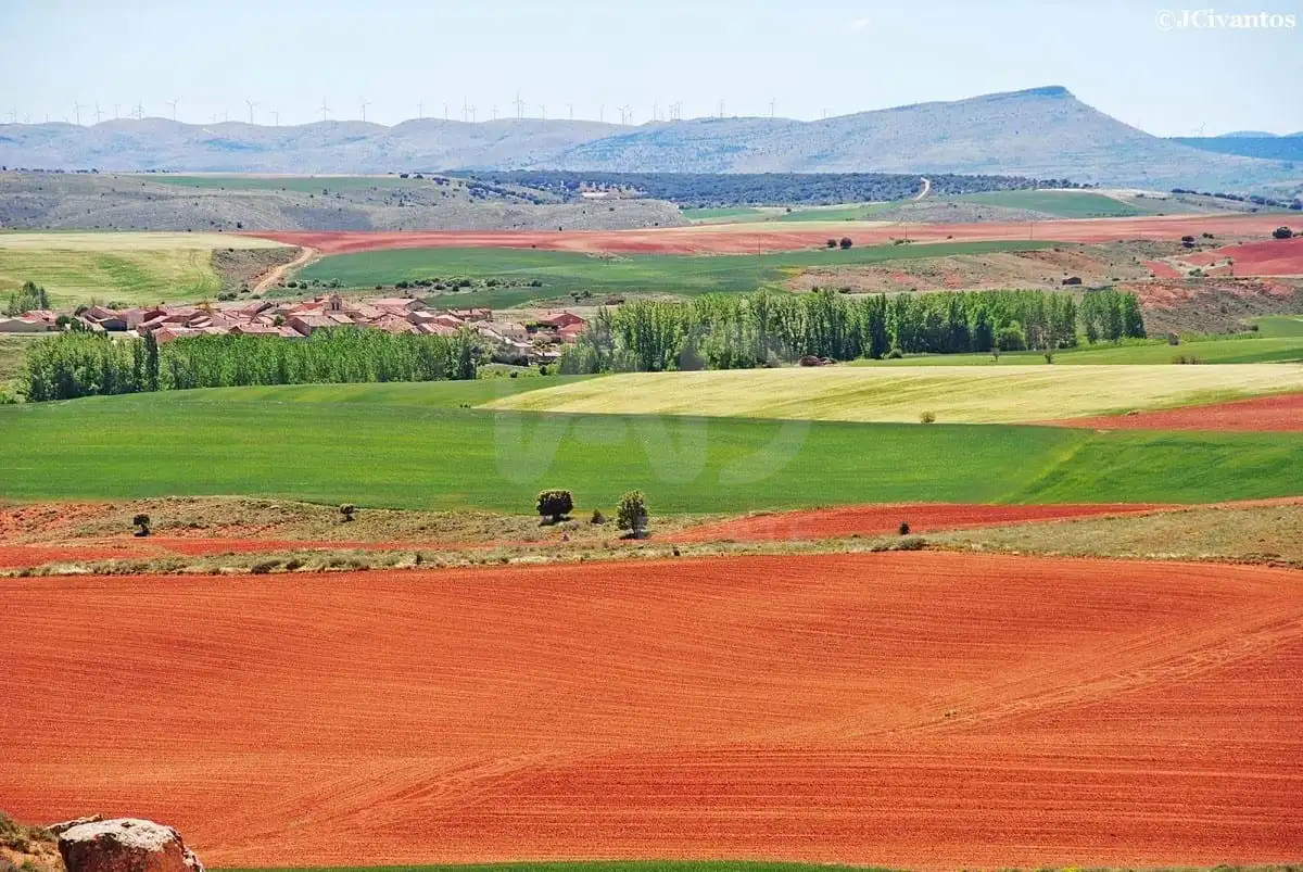 Terreno en venta en Morón de Almazán