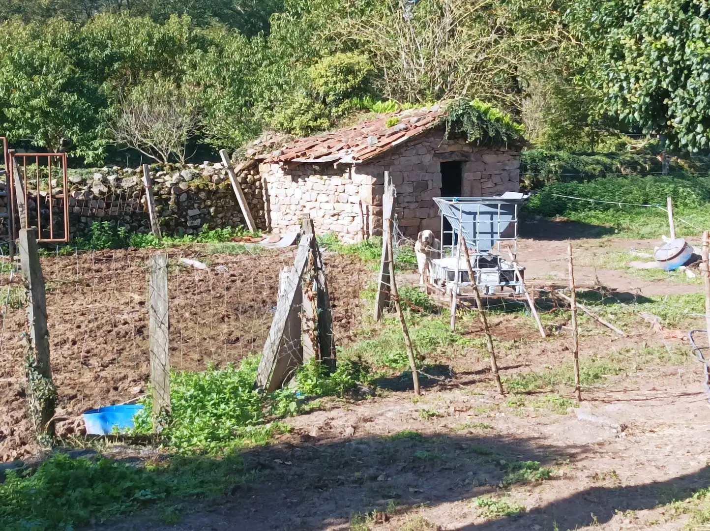 Jardín de Casa o chalet en venta en Arenas de Iguña con Jardín privado