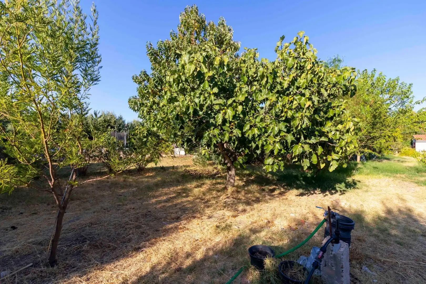 Casa rústica con piscina en venta en Dehesilla de Calamón - Campomanes, imagen 50