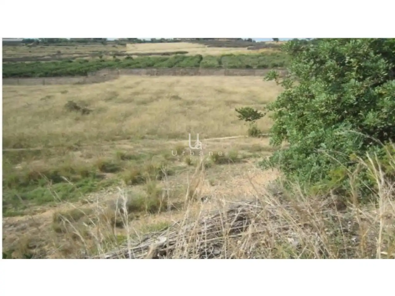Terreno rústico en venta en Sector VERTXI XXI POLIGONO 7, imagen 5