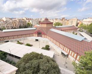 Study to share in Sant Antoni