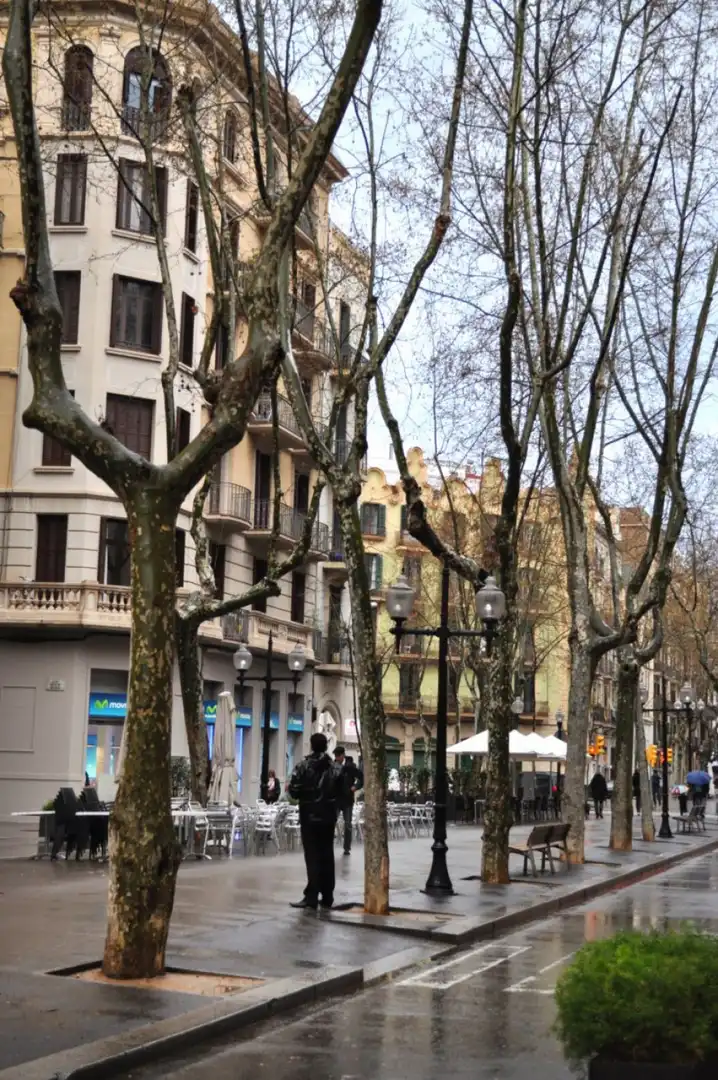 Wohnung zum Verkauf in Barcelona - Poblenou, imagen 13