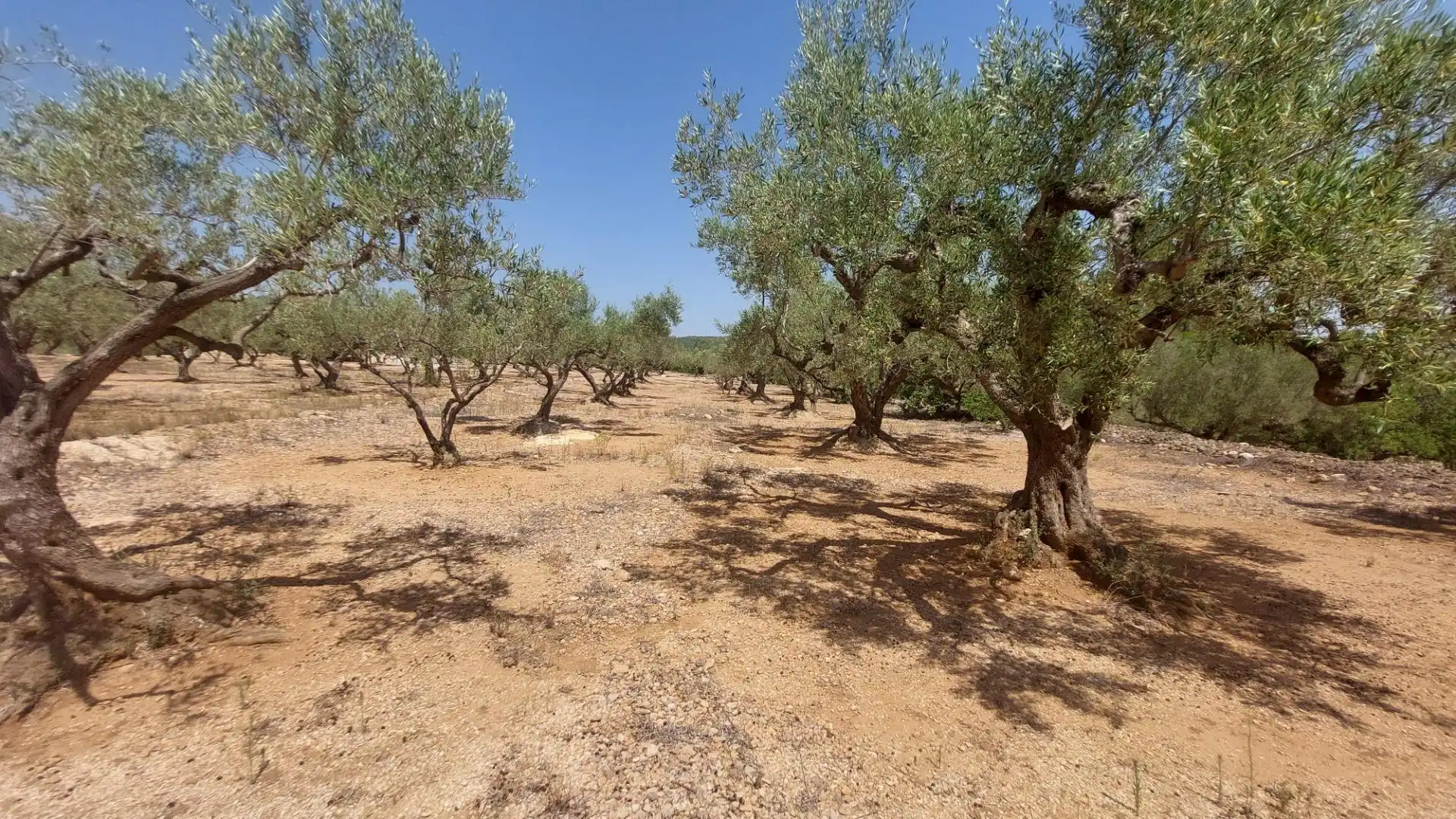 Maison rustique à vendre à L'Ampolla, imagen 12