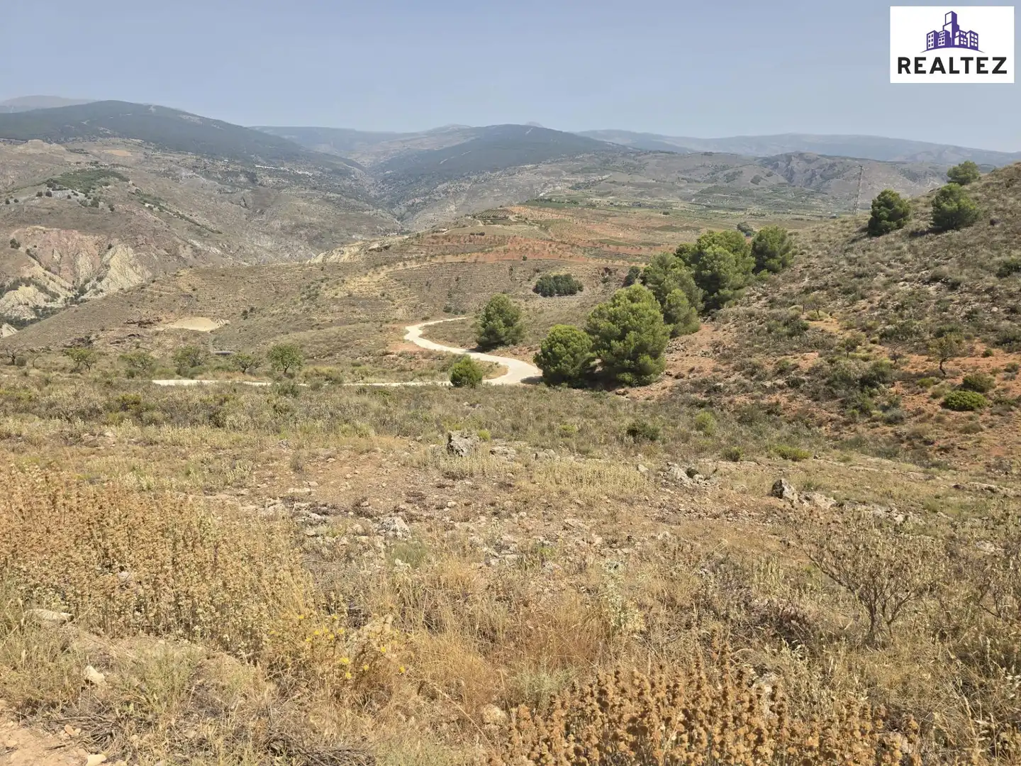 Terrain rustique à vendre à Alcolea, imagen 5