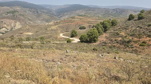 Finca rústica en venta en Alcolea vistas panorámicas en plena Alpujarra Almeriense, immagine 5