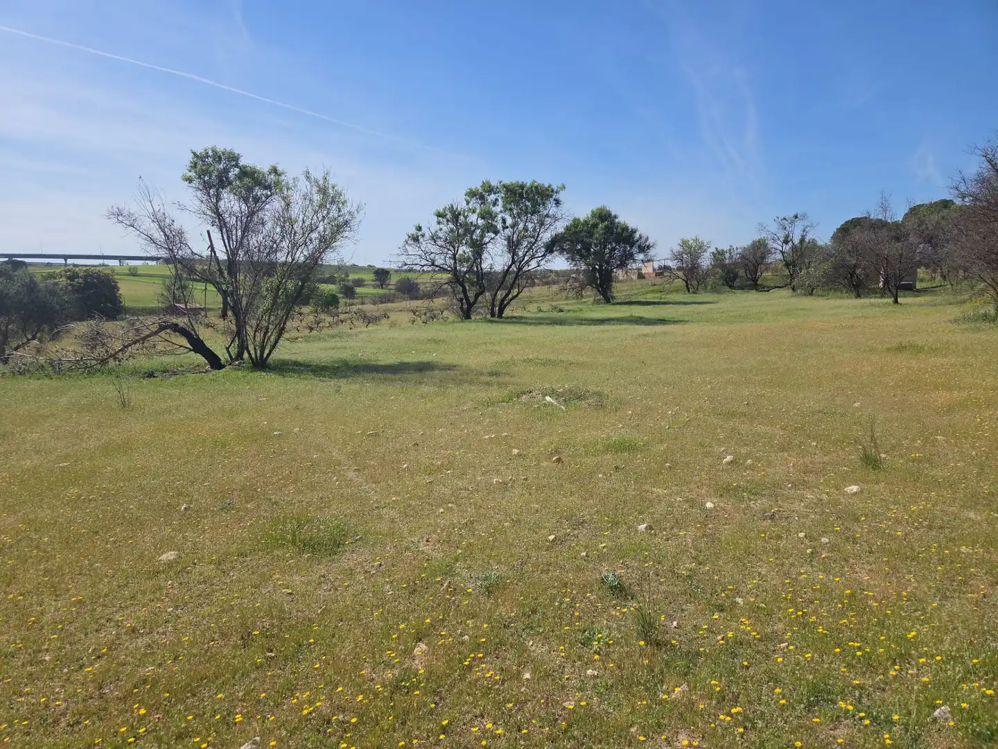 Finca rústica en venta en Navalcarnero