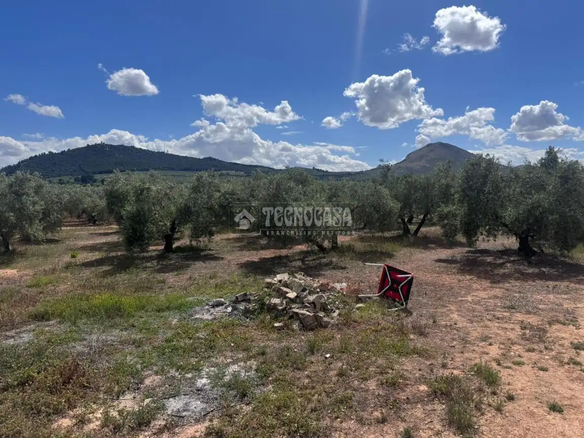 Terrenys i solars en venda a Albolote