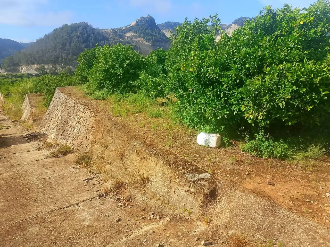 Land for sale in L'Atzúbia