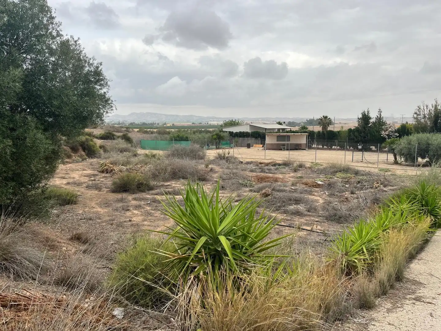 Casa rústica en venta en Carretera CARRETERA MAZARRON, imagen 3