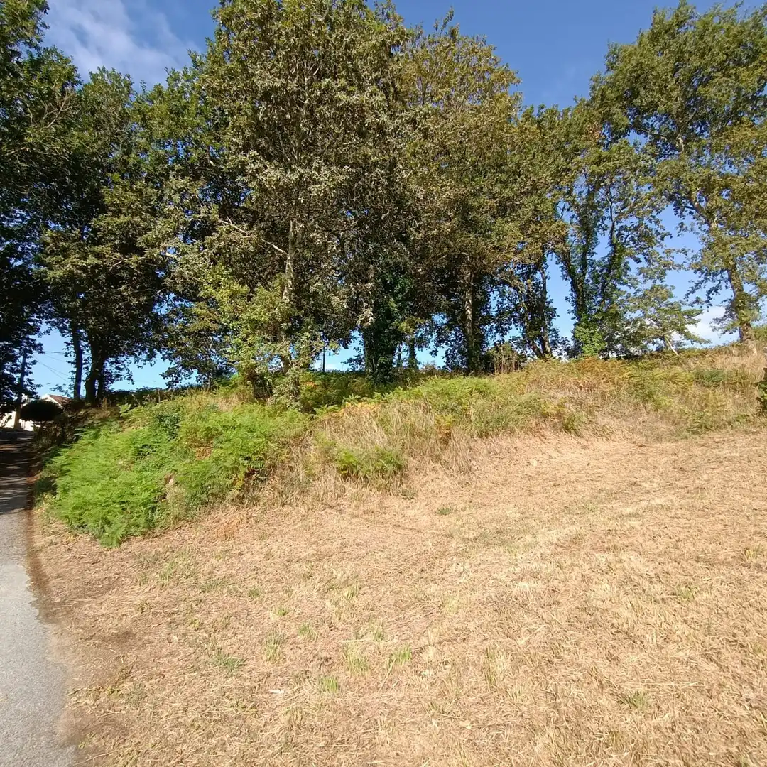 Residential zum Verkauf in Barro