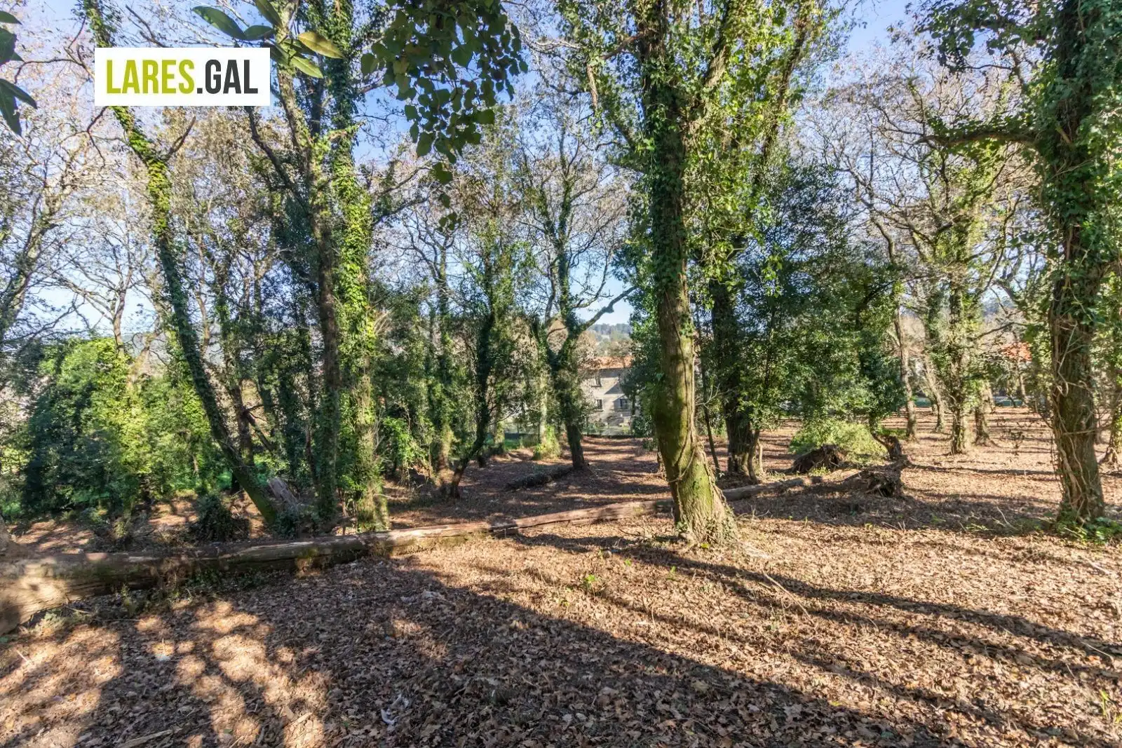 Lands and plots for sale in Rúa Ximeu, imagen 13