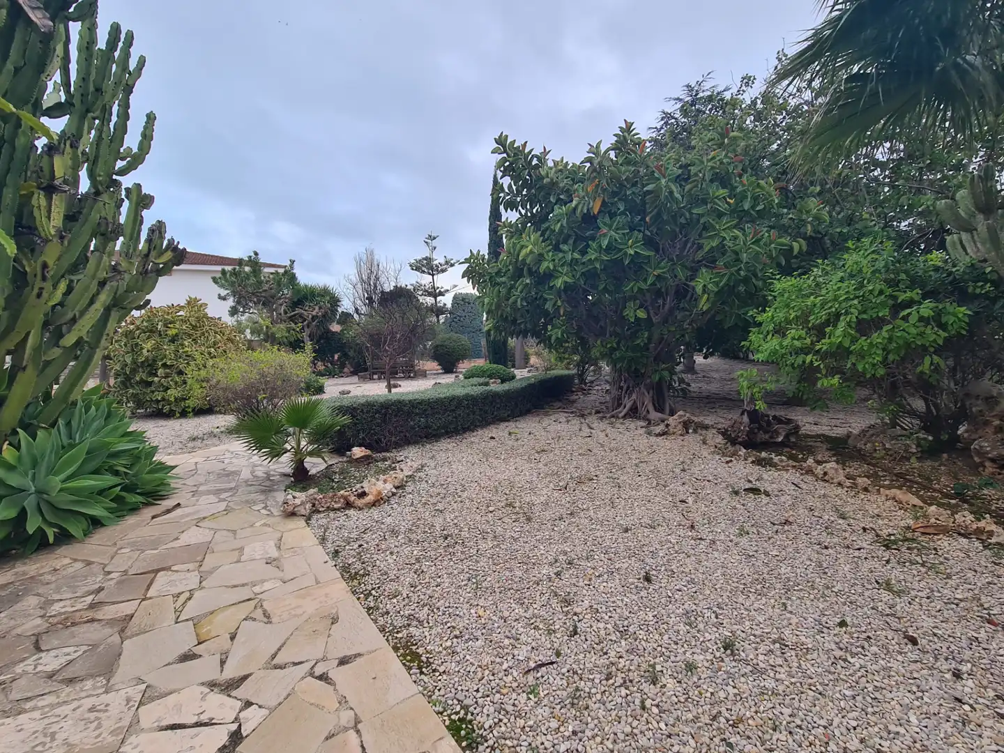 Jardí de Casa o xalet en venda en Vinaròs amb Calefacció, Jardí privat i Terrassa