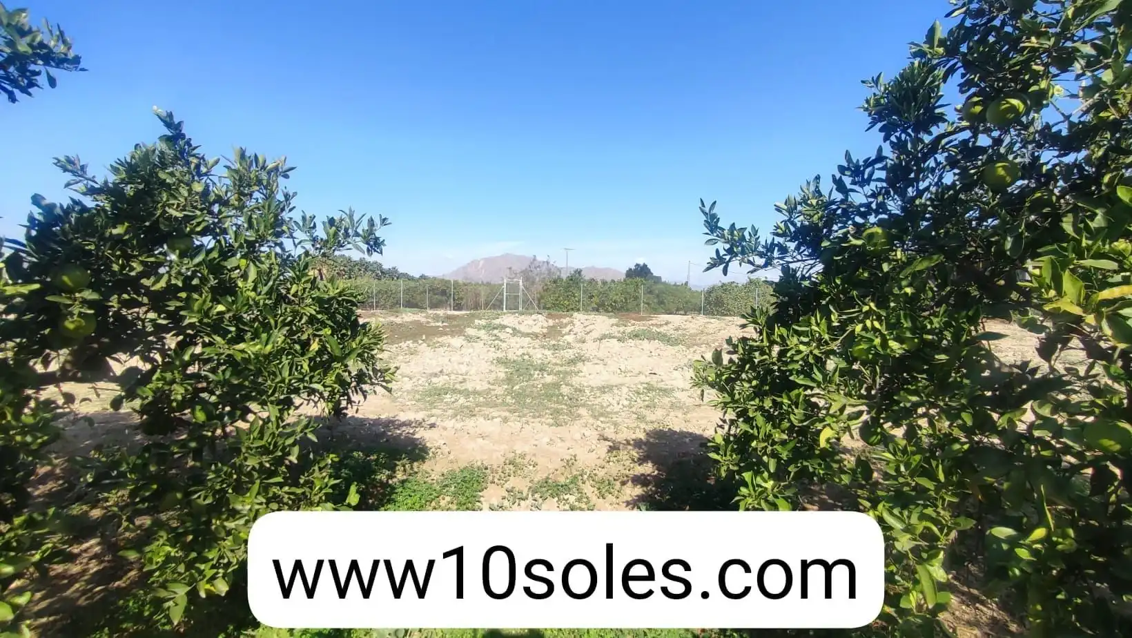 Terreno rustico in vendita a Jacarilla, imagen 11