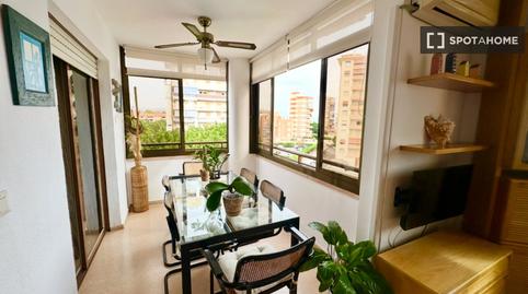 Photo 3 of Apartment to share in Playa Muchavista, El Campello