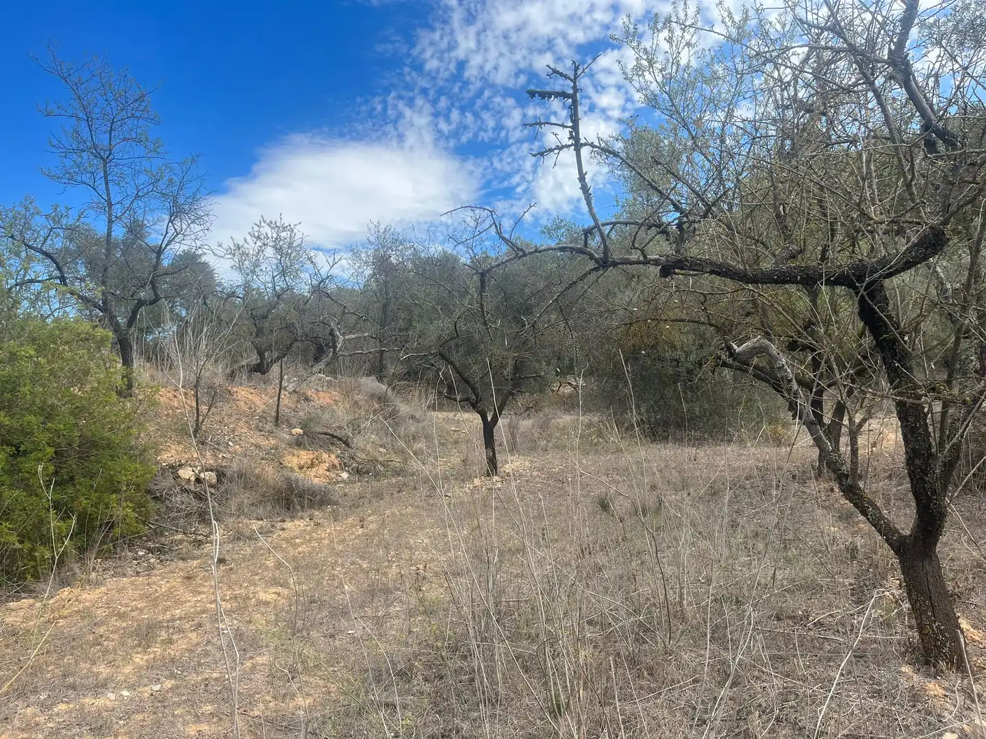 Rural land for sale in Horta de Sant Joan, imagen 3