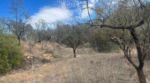 Finca en Horta de Sant Joan, imatge 3