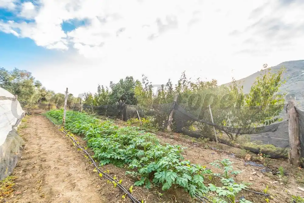 Rustikales Grundstück zum Verkauf in Torrox Pueblo, imagen 9