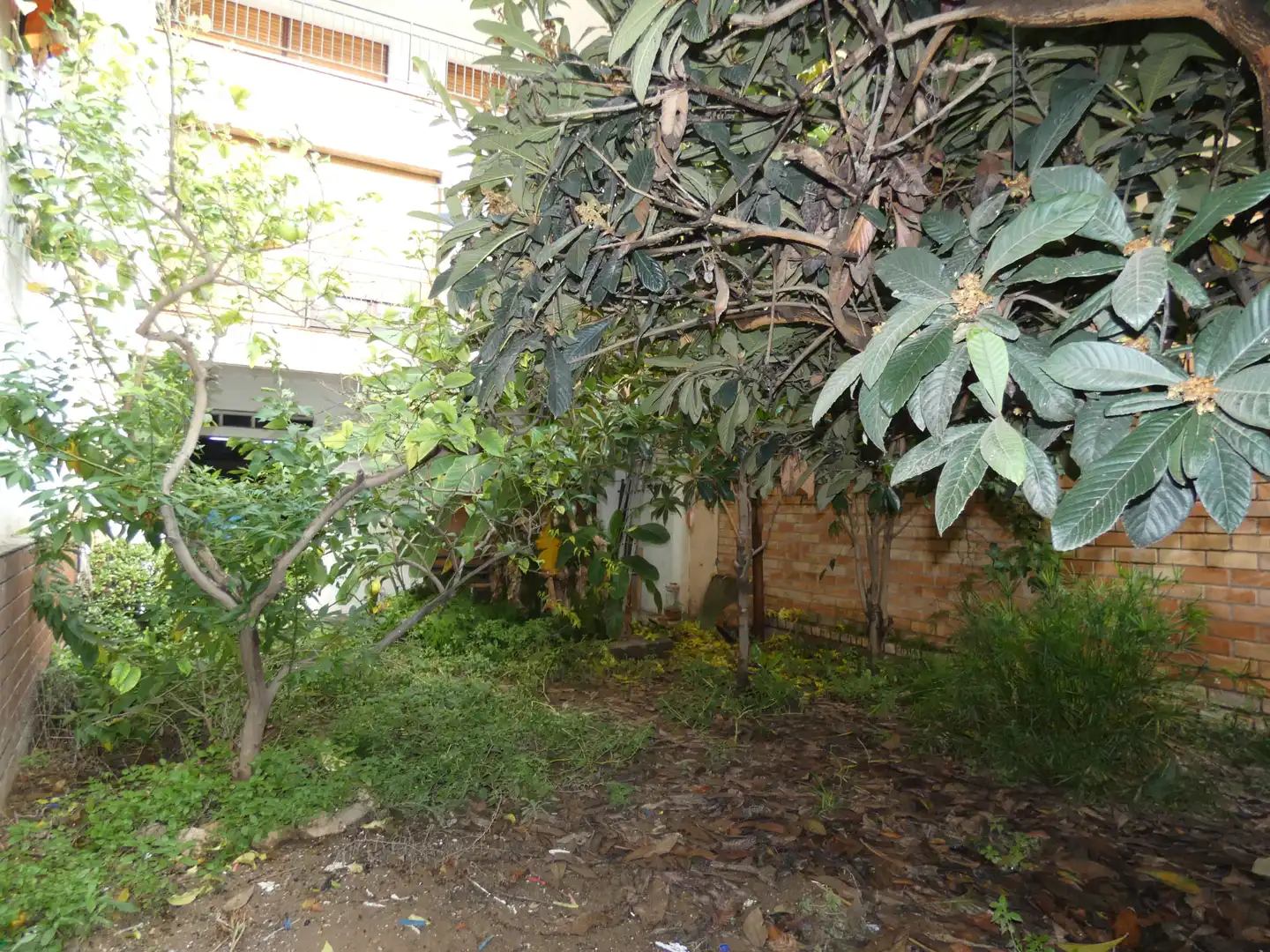 Local comercial en venda a Carrer de Pius XIIè, imagen 17