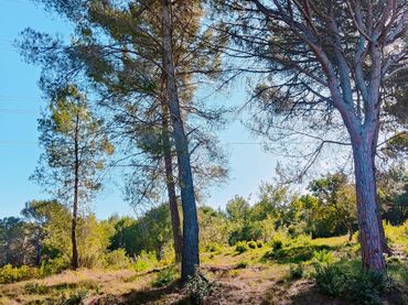 Wohnbaugrundstück zum Verkauf in Castellnou - Can Mir - Can Solà