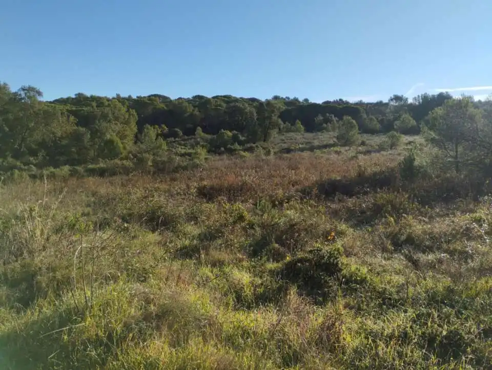 Grundstücke und Bauplätze zum Verkauf in Sant Joan - Vilarromà