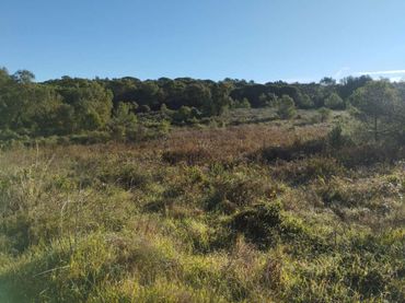 Terreni e lotti in vendita a Sant Joan - Vilarromà