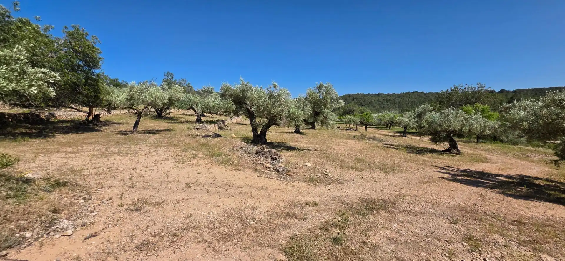Maison rustique à vendre à Tivissa, imagen 38