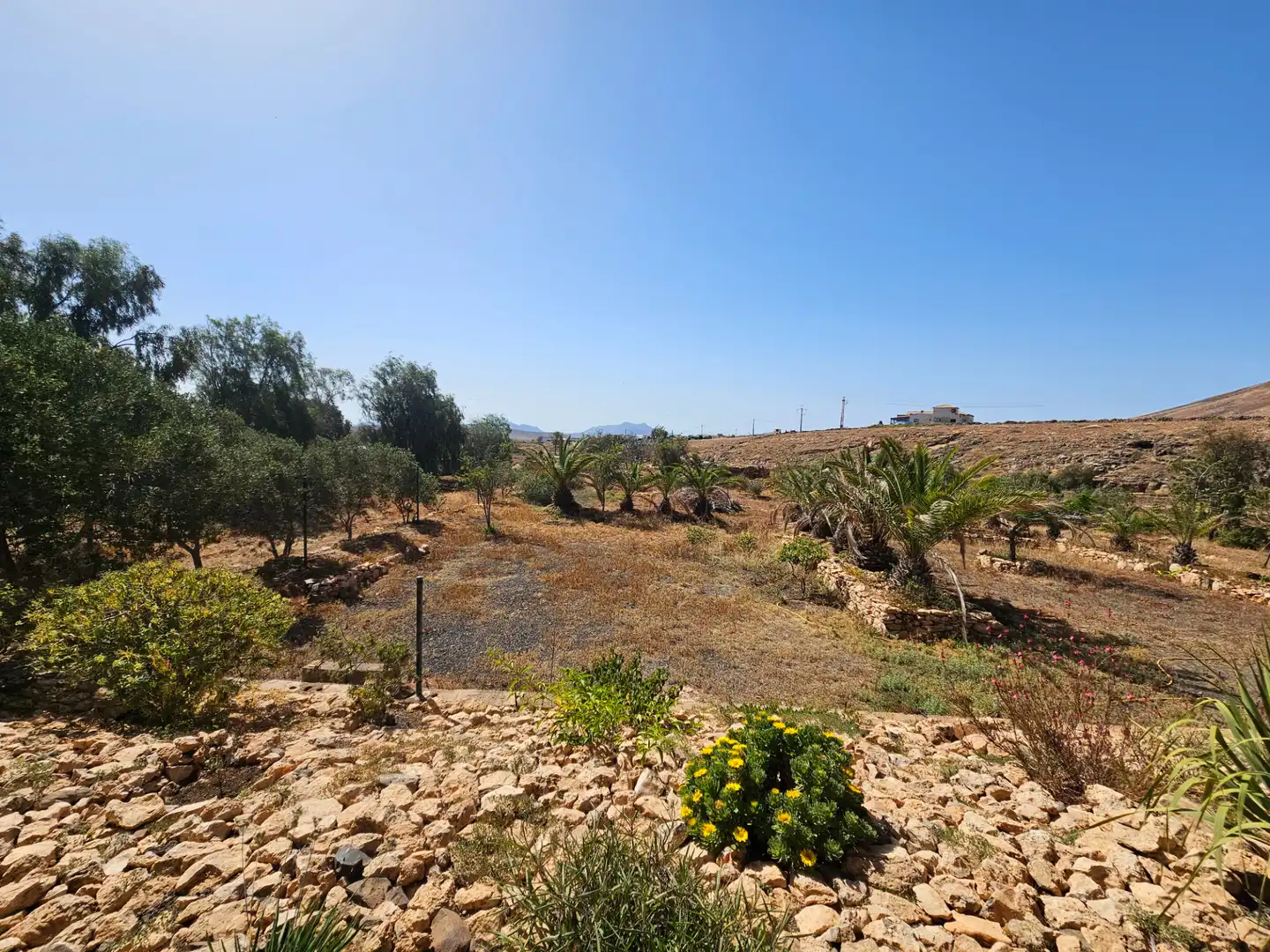 Casa o xalet en venda en Tuineje amb Jardí privat, Terrassa i Traster