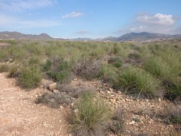 Terreny residencial en venda a Paraje La Majada Blanca