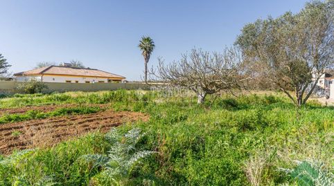 Foto 2 von Country house zum Verkauf in Caballero Bonald - San José Obrero - Guadalcacín, Jerez de la Frontera